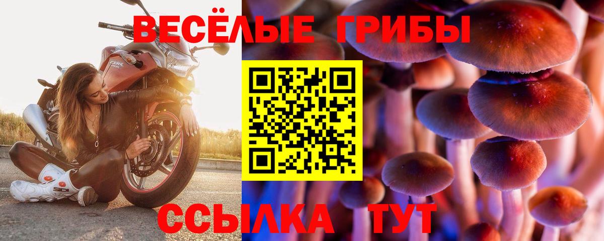 Камень-на-Оби  Галлюциногенные грибы Psilocybine cubensis  Псилоцибиновые грибы мухоморы  Вход с VPN 
